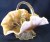 STIPPLED PETALS Basket in Peach Opal