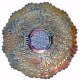 LEAF CHAIN Plate