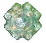 CHRYSANTHEMUM