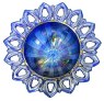 Cobalt Blue WILD ROSE