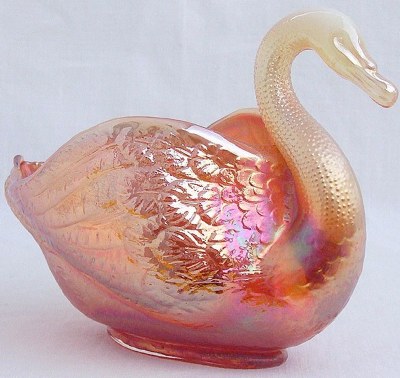 SWAN with ideally opalized neck and head!