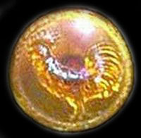 ROOSTER in Amber