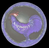 ROOSTER IN Blue