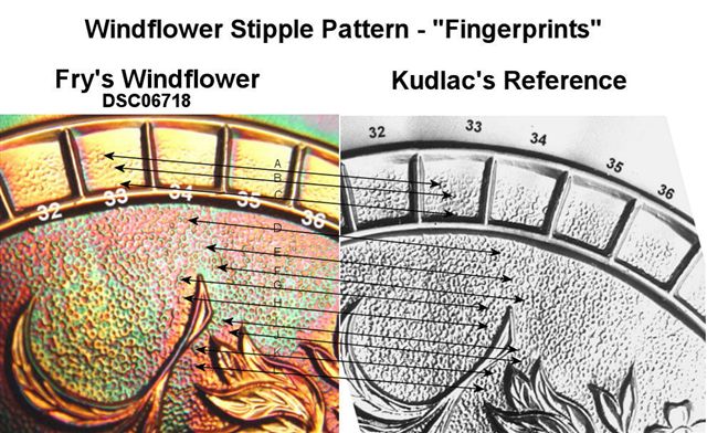 WINDFLOWER Comparison.